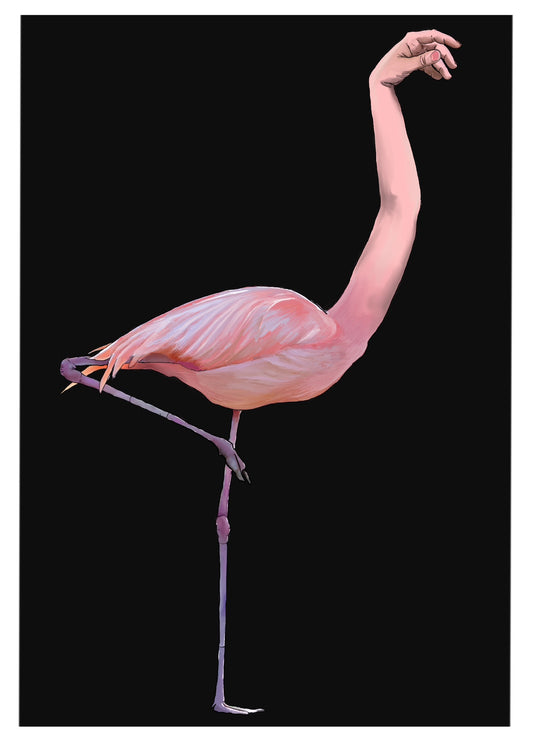 Flamingo dance - print